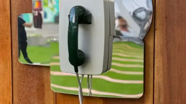 bigfone