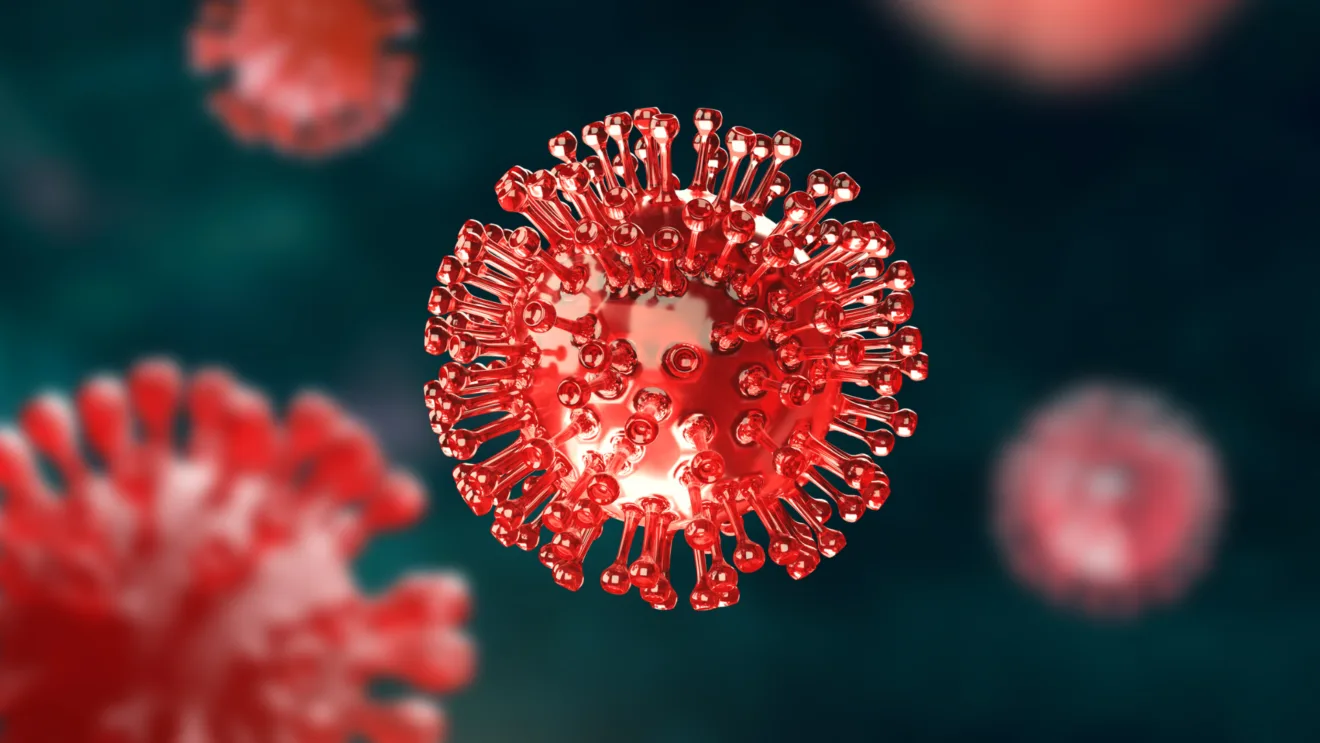 novo coronavirus descoberto na china em 2025