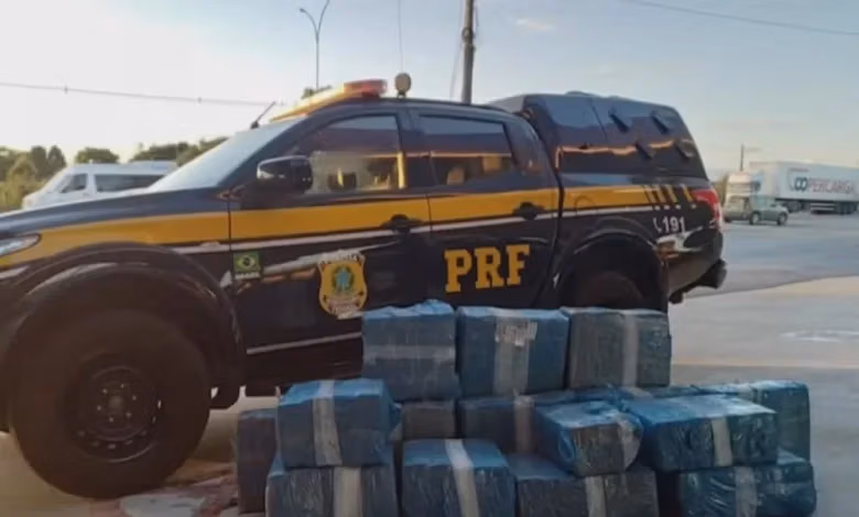 apreensao de maconha