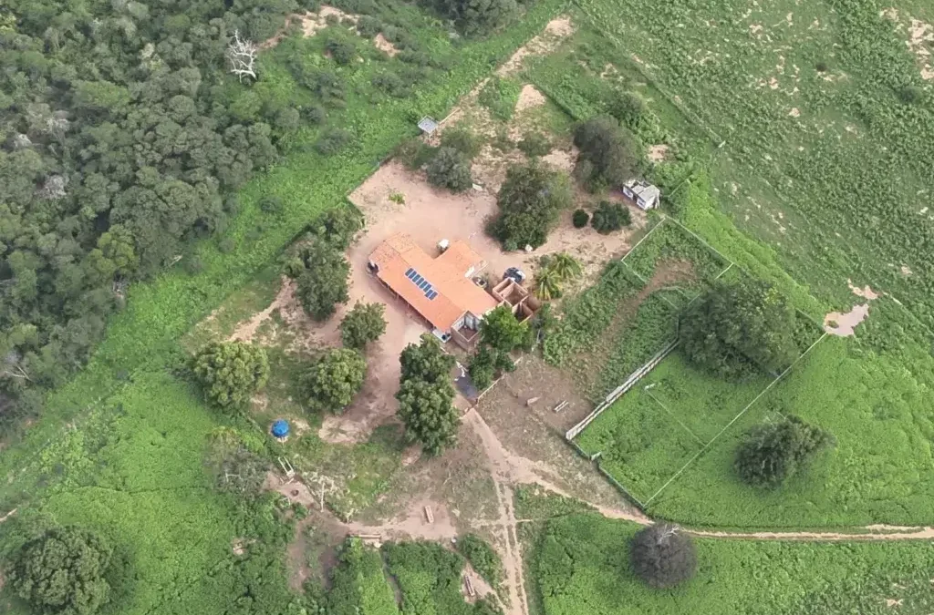 lavagem de dinheiro,