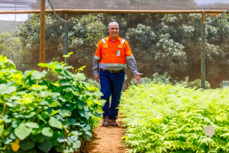 Viveiro de Mudas da BAMIN vira referência em reflorestamento no semiárido baiano 2 viveiro de mudas bamin