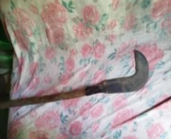 prisão foice feminicidio homicídio