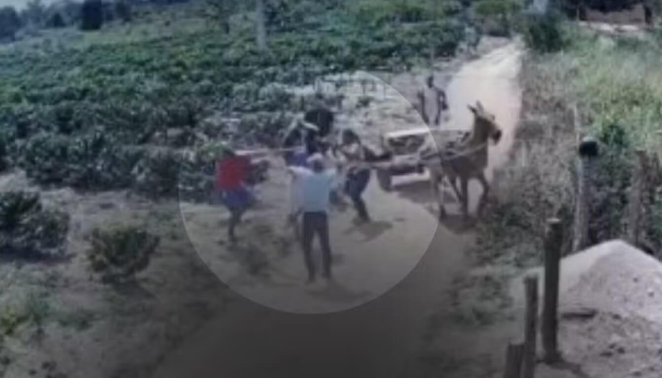 disputa herança encruzilhada