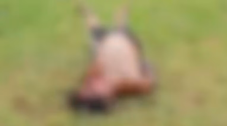 adolescente morto São Francisco do Conde