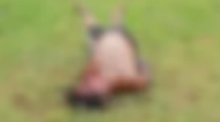 adolescente morto São Francisco do Conde