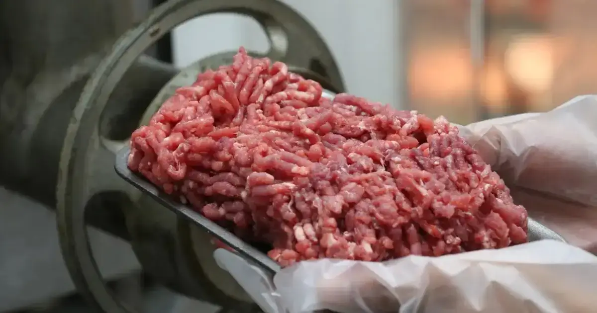 carne moída saúde
