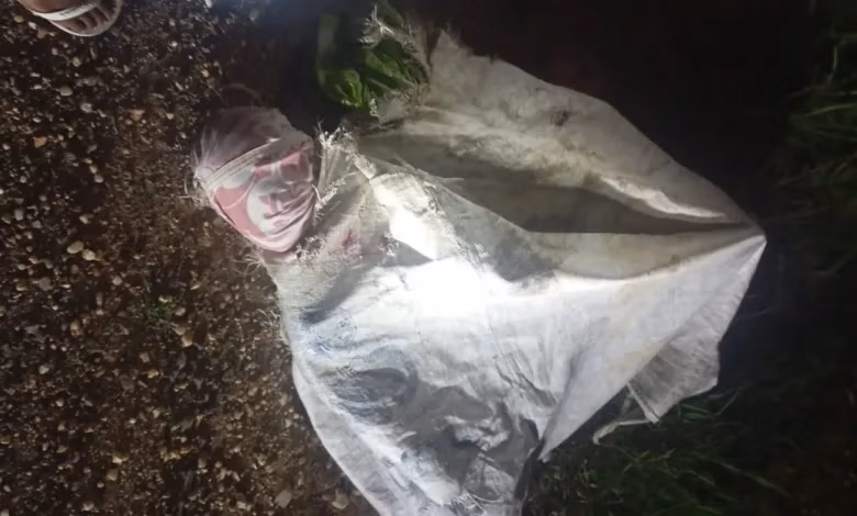 amélia rodrigues corpo Usina Aliança