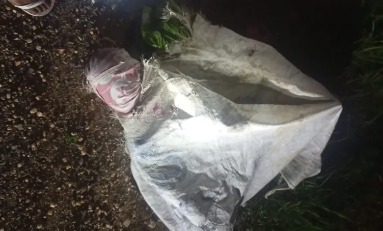 amélia rodrigues corpo Usina Aliança