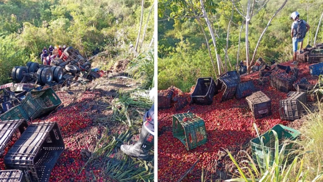 caminhão de acerola acidente conceição do almeida