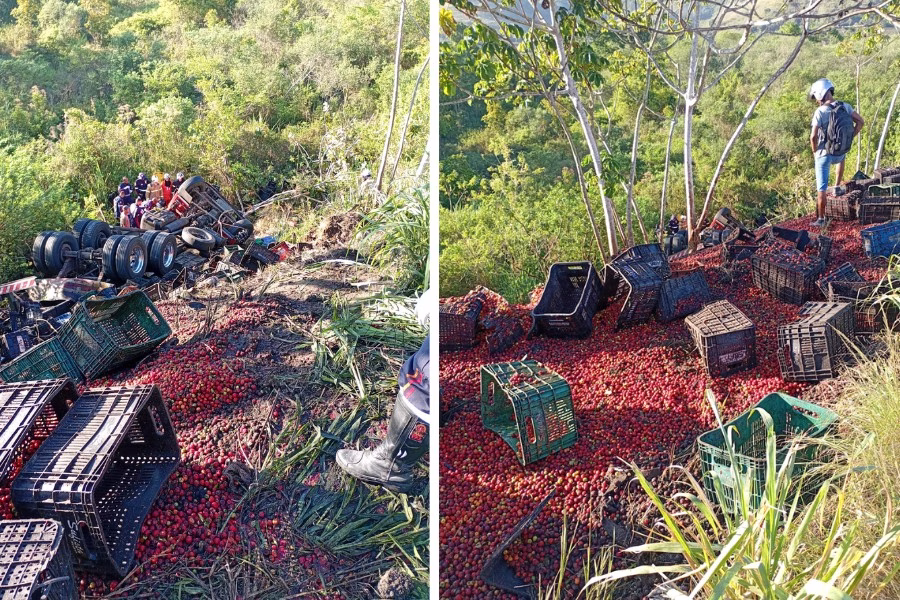 caminhão de acerola acidente conceição do almeida
