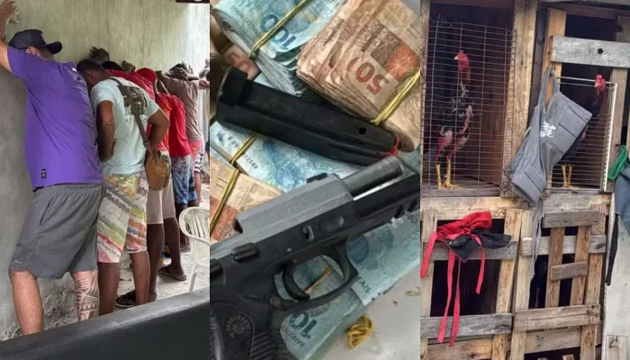 PM encerra rinha de galos e apreende R$ 150 mil em Salvador 1 rinha de galo em Salvador