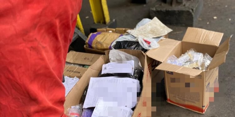 drogas sendo incineradas em Santo Amaro