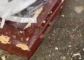 VÍDEO: Criminosos invadem cemitério e efetuam disparos contra caixão em Dias D'Ávila 2 adolescente morto em troca de tiros e caixão alvejado por facção rival