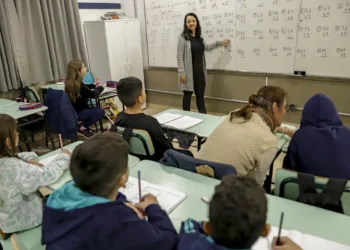 ários do 5º ou 6º ano do ensino fundamental ou que exerçam a função de formadore