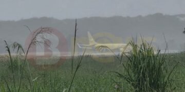 to de Salvador Últimas Política Economia & Mercado BNews Pet Justiça Copa do
