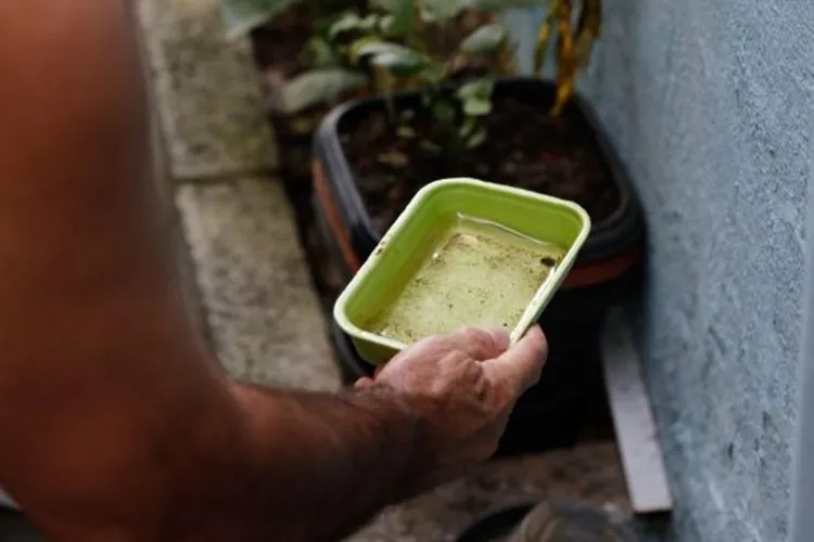 Bahia apresenta recuo de 41% nas notificações de dengue em 2026 1 Divulgação/Sesab