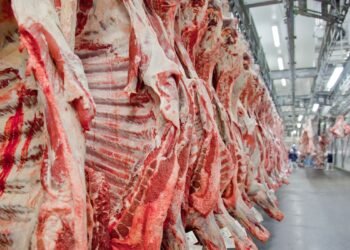 tar produtos de origem animal destinados ao consumo humano para o bloco europeu