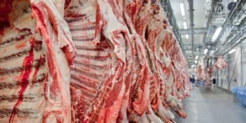 tar produtos de origem animal destinados ao consumo humano para o bloco europeu