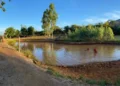 Achei Sudoeste