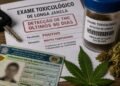meio de um ofício enviado aos órgãos estaduais responsáveis pelo trânsito.A nova