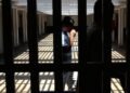 divergências entre especialistas, juristas e parlamentares. Enquanto defensores