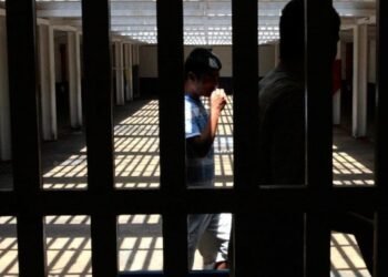 divergências entre especialistas, juristas e parlamentares. Enquanto defensores
