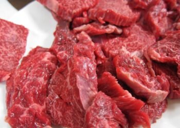 Portas fechadas: União Europeia suspende importação de carne do Brasil imagem
