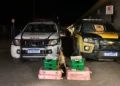 Cão farejador descobre 22 barras de maconha em ônibus que ia para Guanambi