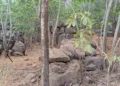 Iuiu registra disparos de arma de fogo em comunidade rural e mobiliza polícia 3 Suspeitos em motocicletas disparam em comunidade rural de Iuiu e fogem
