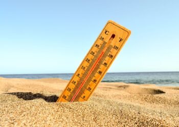 Ondas de calor extremo matam 6 mil pessoas por ano no Brasil imagem