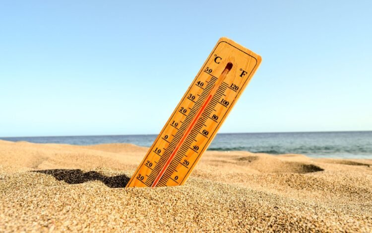 Ondas de calor extremo matam 6 mil pessoas por ano no Brasil imagem