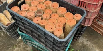espadas de fogo usadas durante o São João