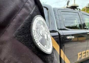 movimentar recursos usados na compra de armas e drogas para abastecer a organiza