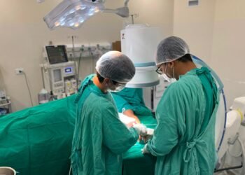 tância da doação de sangue para salvar vidas e garantir atendimentos