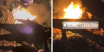 policia destroi drogas em muniz ferreira