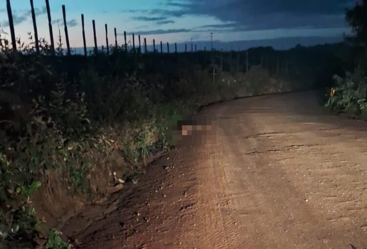 Corpos de homem e mulher são encontrados com marcas de violência em estrada de terra em Porto Seguro 1 estrada de terra em distrito de Porto Seguro