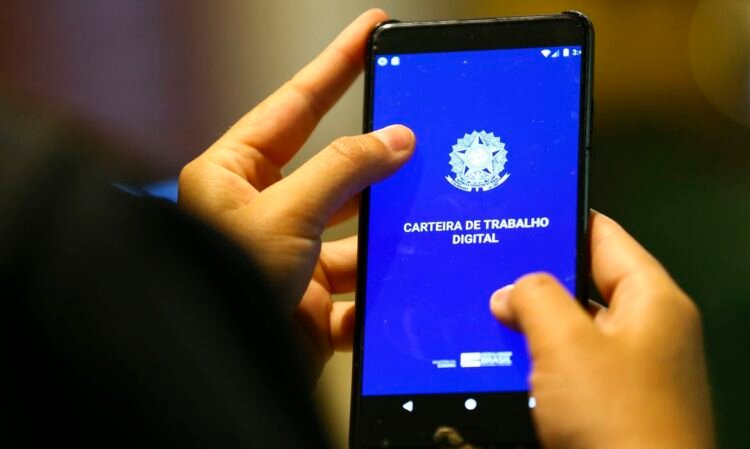 Desemprego cai para 5,4% e atinge marca histórica no segundo trimestre 1 Desemprego cai para 5,4% e atinge marca histórica no segundo trimestre