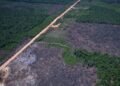 Eco Invest Brasil lança quinto leilão para impulsionar inovação e transição ecológica