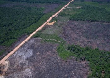 Eco Invest Brasil lança quinto leilão para impulsionar inovação e transição ecológica