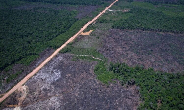 Eco Invest Brasil lança quinto leilão para impulsionar inovação e transição ecológica
