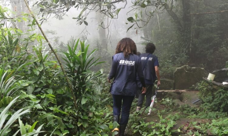 Prazo final para inscrições no processo seletivo do IBGE encerra nesta quinta-feira 1 © Tânia Rêgo/Agência Brasil