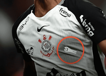 Trend de Meccha Chameleon desafia usuários a encontrar personagens escondidos
