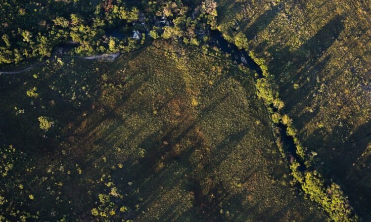Juros menores impulsionam financiamento rural sustentável para safra 2026/2027 1 © Marcelo Camargo/Agência Brasil