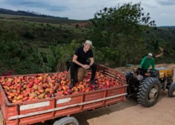 trás da fabricação de milhões de trufas e tabletes diários, o fundador e CEO da