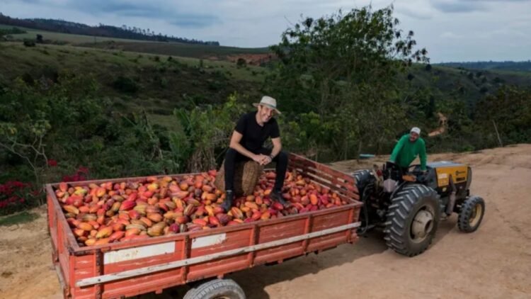 Cacau Show investe em fazenda futurista para autossuficiência na produção de cacau 1 trás da fabricação de milhões de trufas e tabletes diários, o fundador e CEO da