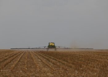 Agronegócio recebe R$ 10 bilhões em financiamento para inovação e sustentabilidade