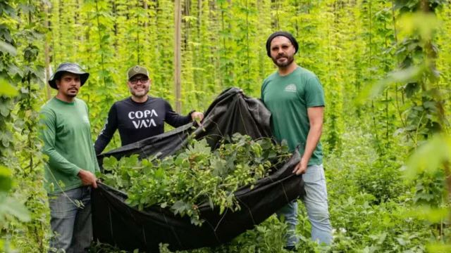 Thiago Lacerda: do palco à fazenda, o cultivo de lúpulo e a produção de cerveja artesanal