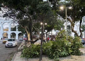 Vendaval deixa milhares sem energia no Rio de Janeiro e mobiliza equipes de reparo