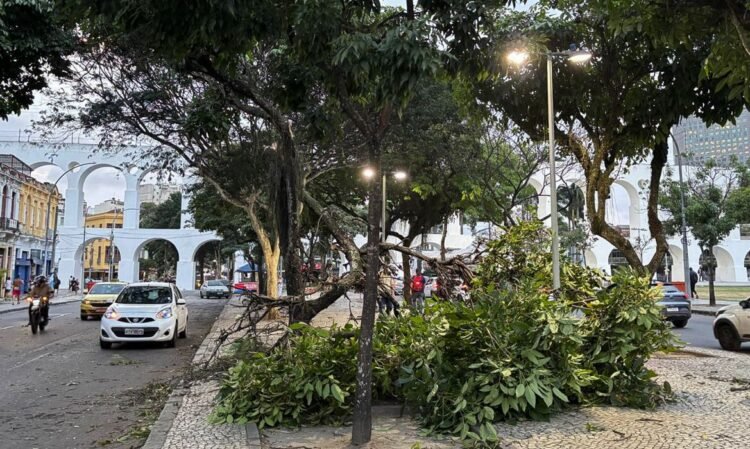 Vendaval deixa milhares sem energia no Rio de Janeiro e mobiliza equipes de reparo 1 Vendaval deixa milhares sem energia no Rio de Janeiro e mobiliza equipes de reparo