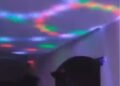 imagem de um teto, em ambiente com pouca iluminação refletindo luzes coloridas